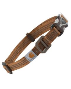 COLLIER LUMINEUX POUR CHIEN CARHARTT
