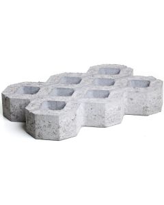 DALLE BETON GAZON 60/40/10 