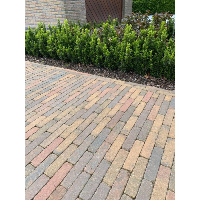 PAVES DRAINANTS STONEHEDGE MULTICOLOR 20x5x6.4 MARLUX