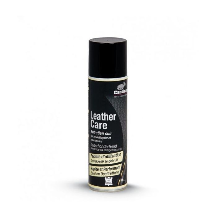 ENTRETIEN CUIR AEROSOL 250ML